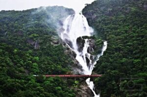 The water of dudhsagar falls is as white as milk which is seen falling from a lush green mountain
