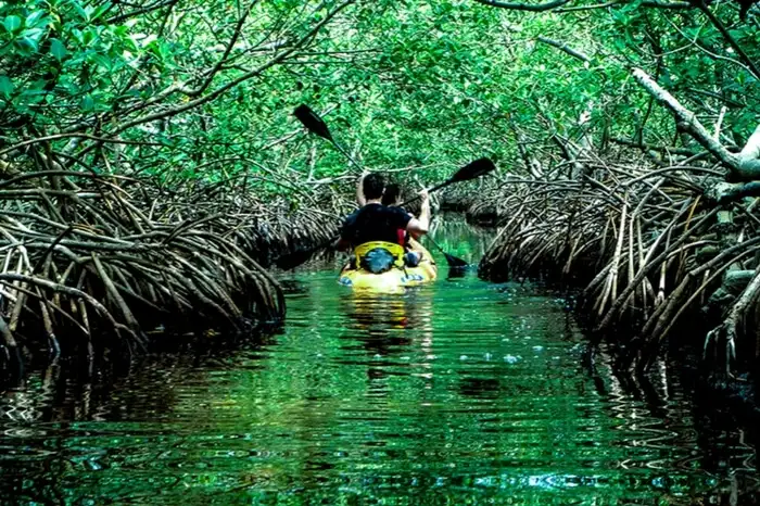 green color water and yellow color boat surrounded with trees