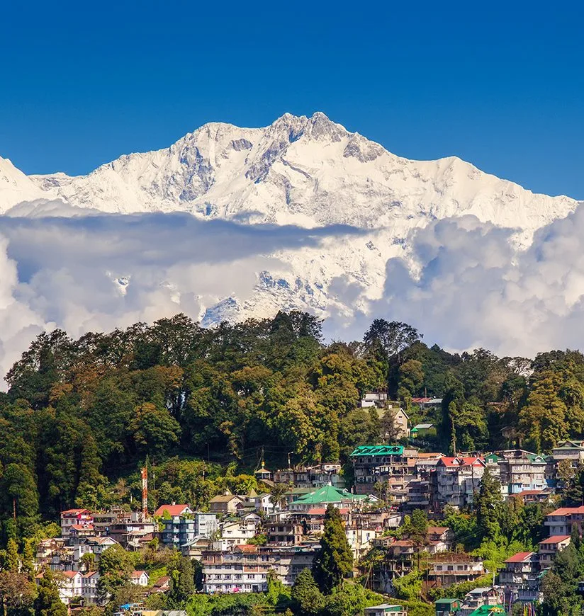 A white mountain and many small houses and some trees