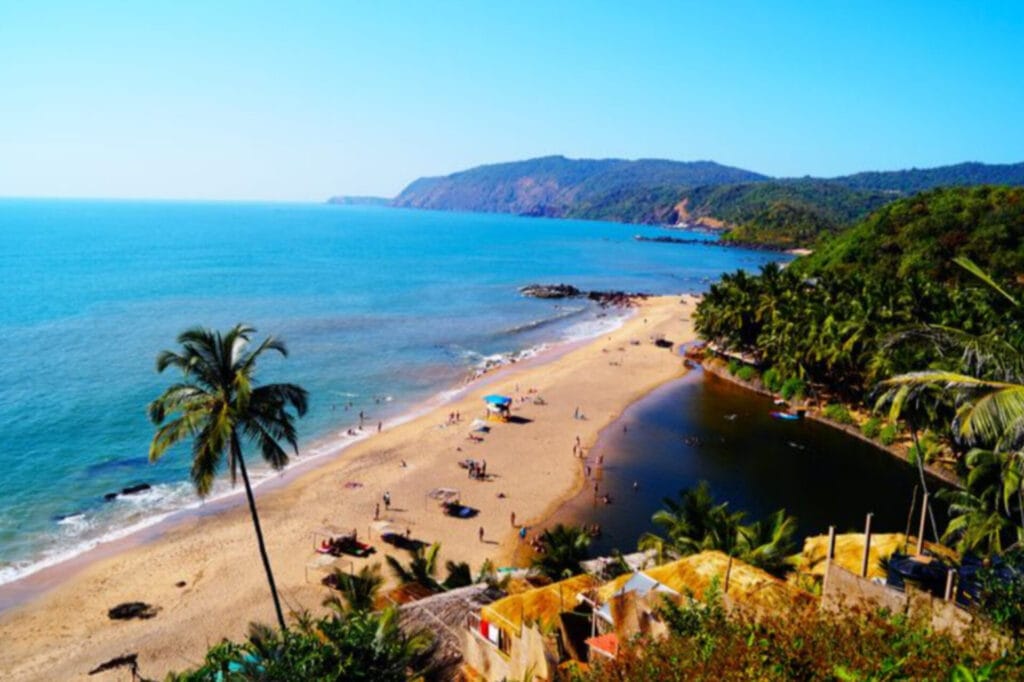 A palm tree and sea beach which has blue water and greenery across the sea places to visit in West India