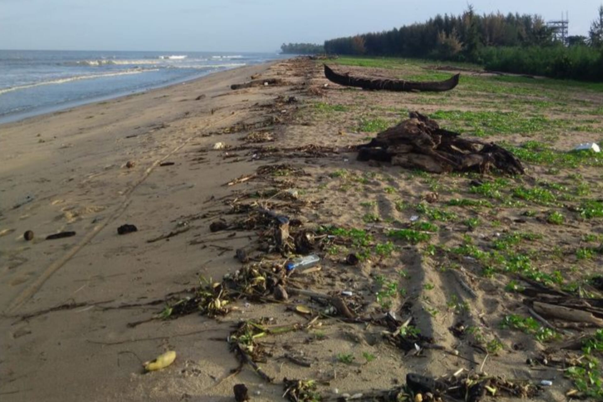 A boat and some bushes and there are sand on the sides of the sea भारतीय समुद्र बीच