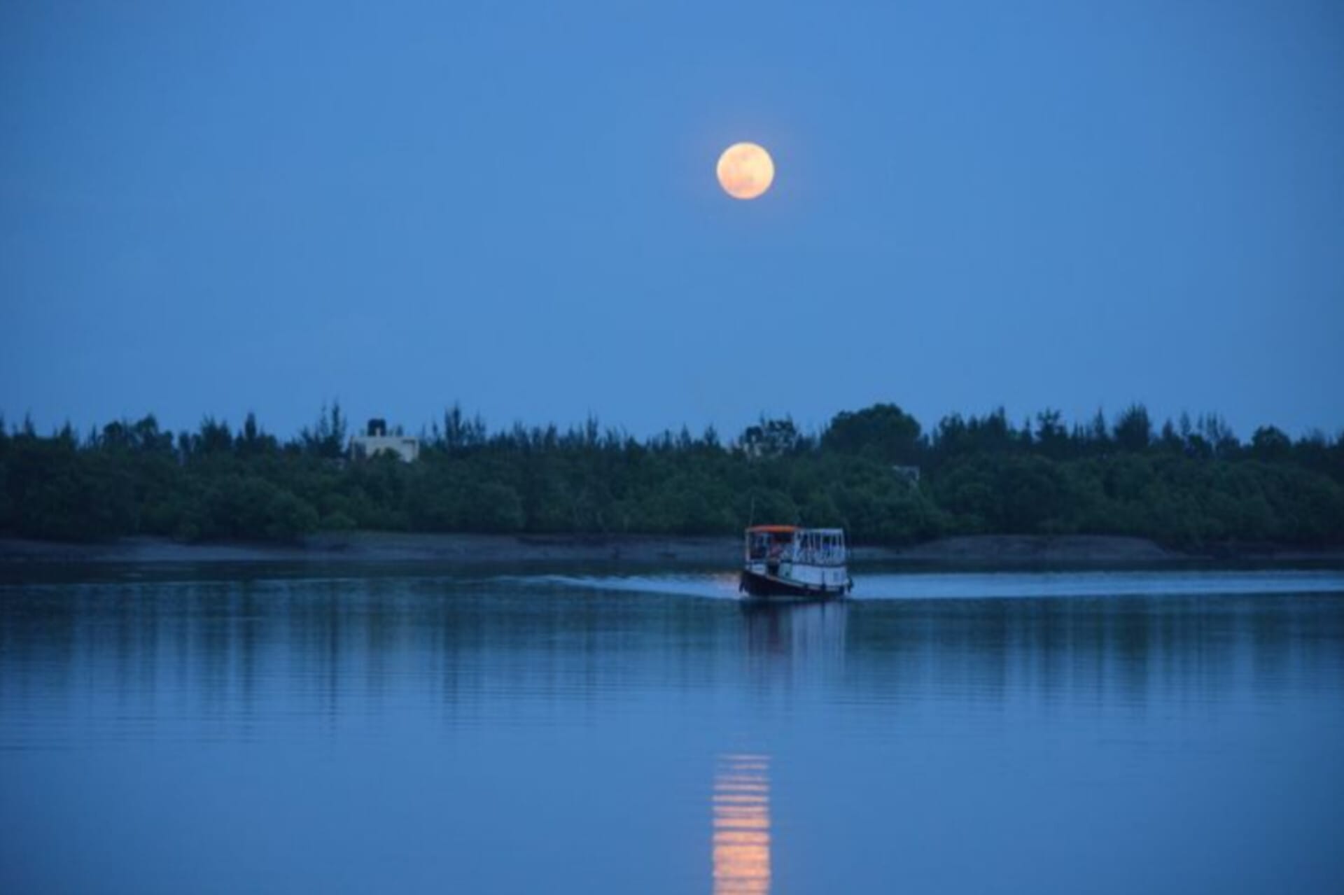 Moon on the sky and a boat and forest on the sea side