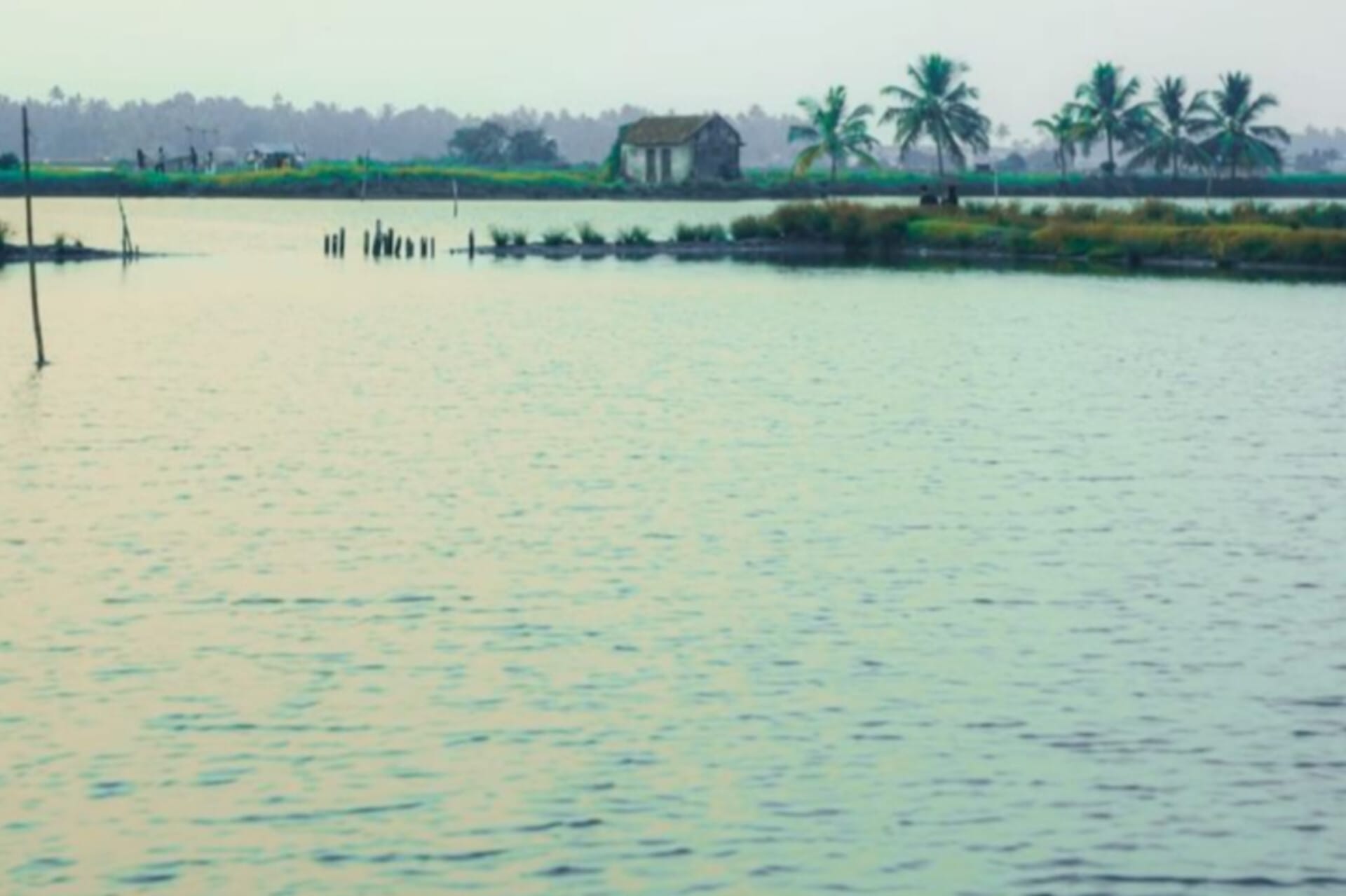 kumbalanghi islands