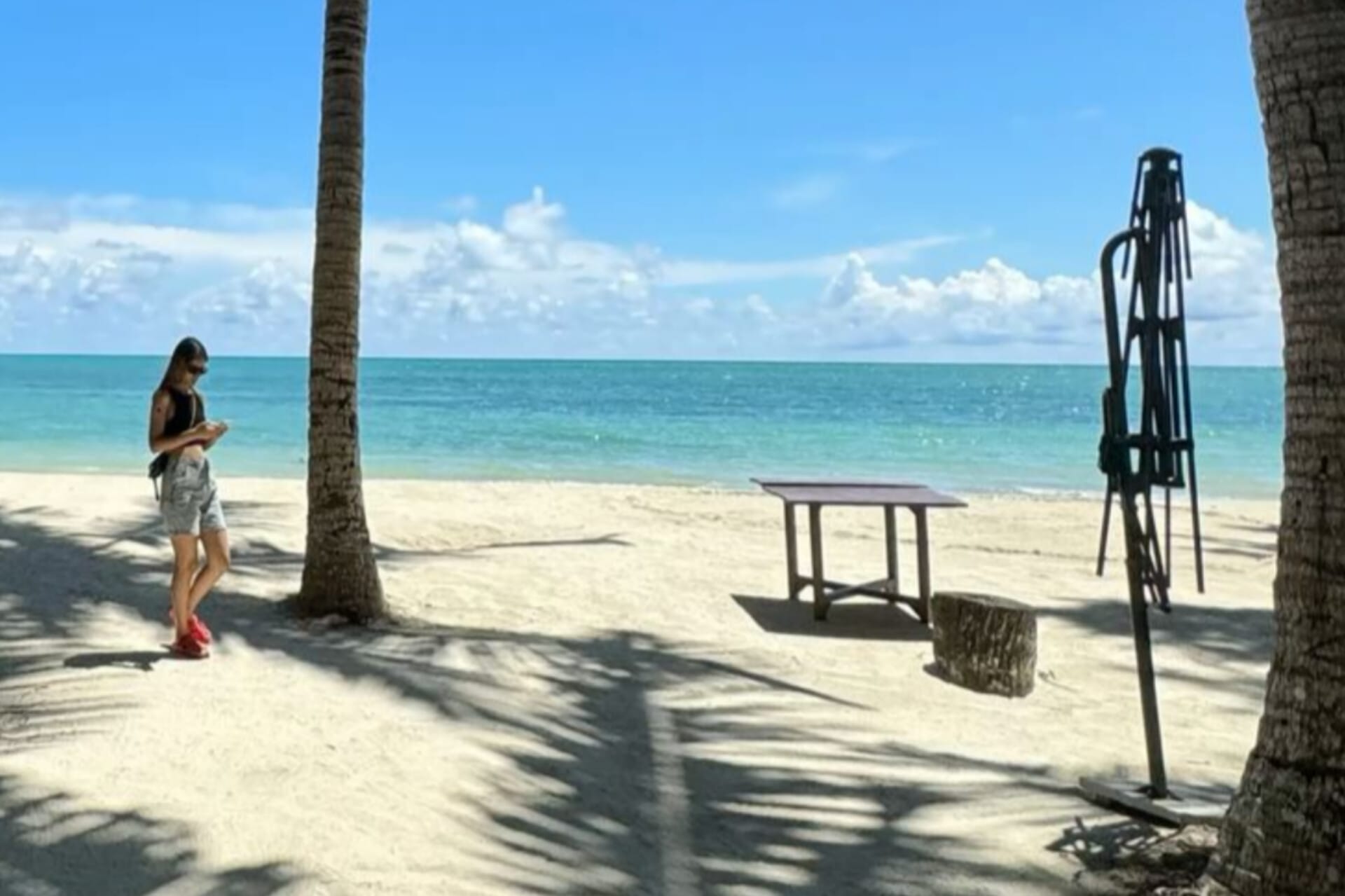 A table, a girls , a palm tree white sand and sea