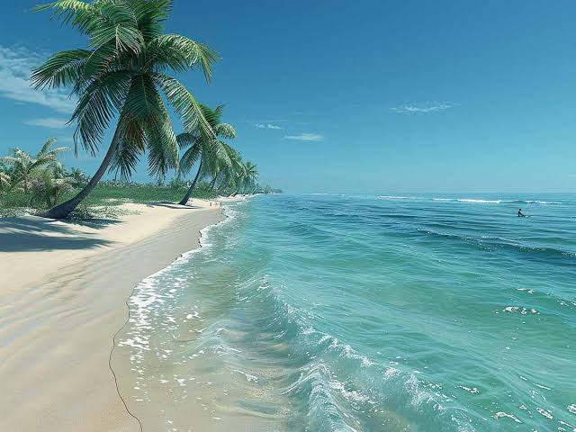 Palm trees near the see and white sand