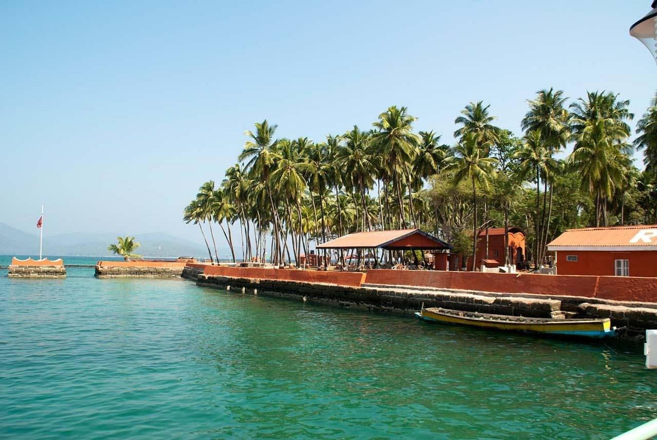 boats in the water and many palm trees which leaves are green