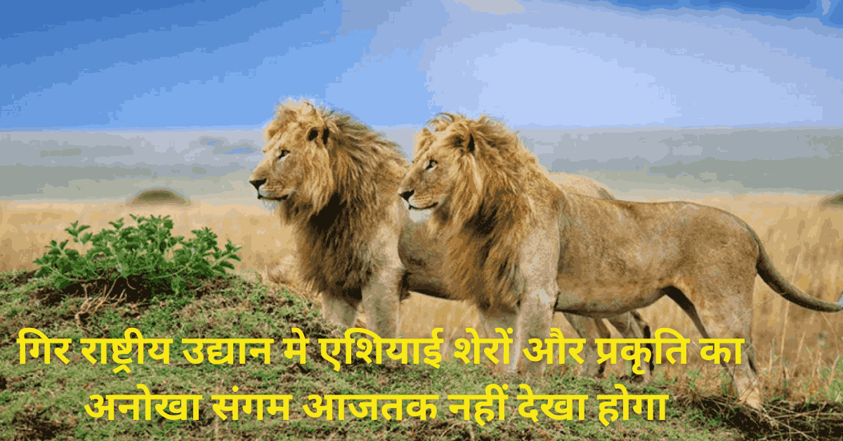 Two lions standingg on the ground and a yellow color text is written